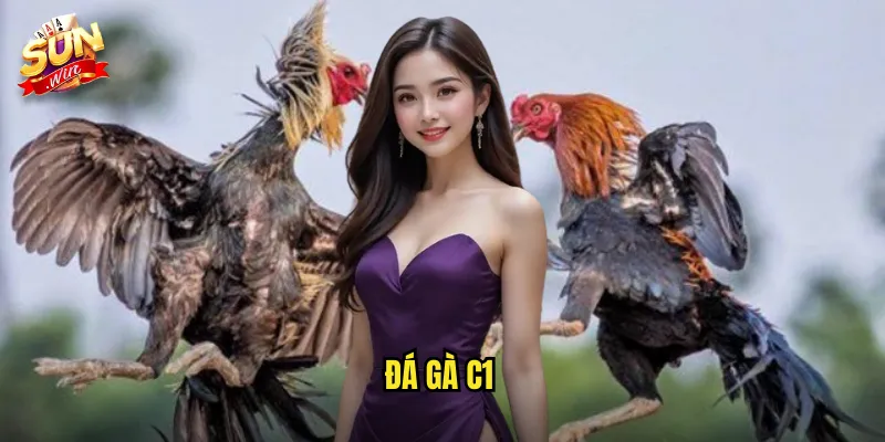 Đá Gà C1 Sunwin SH - Giải Đấu Hạng Nhất Dành Cho Những Chiến Kê Tinh Anh 5 đá gà C1