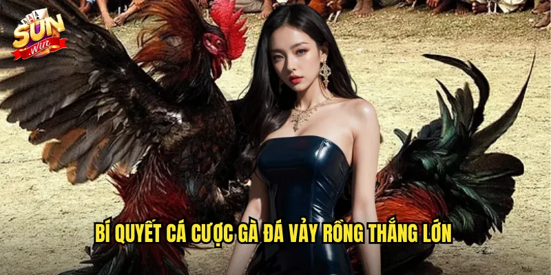 Bí quyết cá cược gà đá vảy rồng thắng lớn