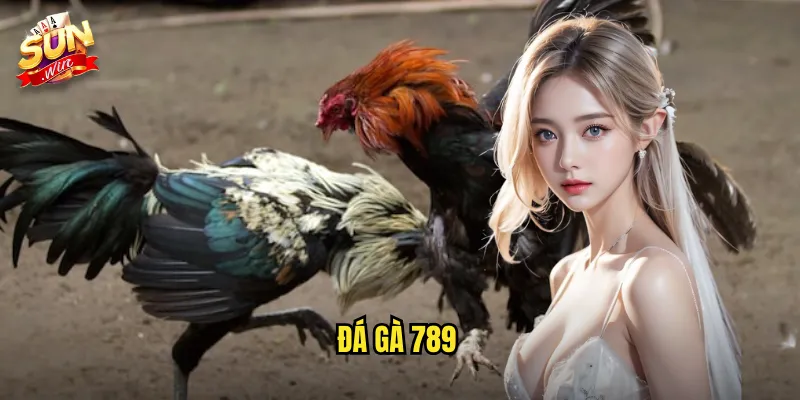 đá gà 789