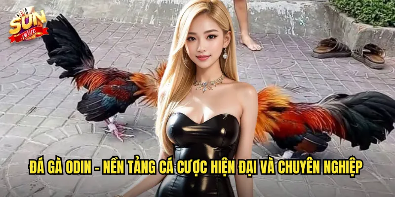 Đá gà Odin - Nền tảng cá cược hiện đại và chuyên nghiệp